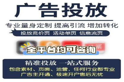竞价SEM与社交媒体结合的营销案例研究